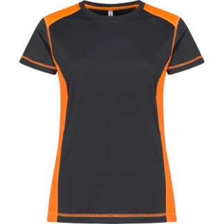 Ambition-T Visib Dam