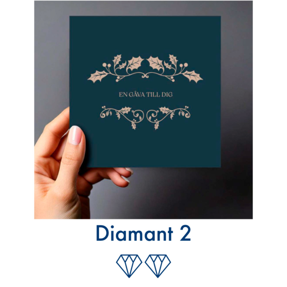 Joyful Giftcard 250 kr